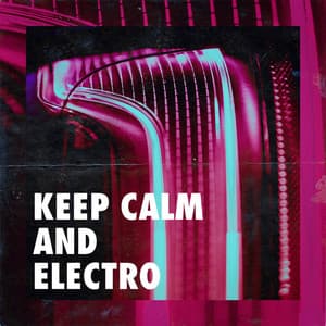 Keep Calm and Electro - The Cocktail Lounge Players