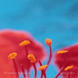 Timelessly - Axelites