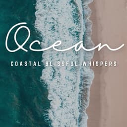 Soothing Waves: Ocean Bliss Massage - Soothing Ocean Sounds