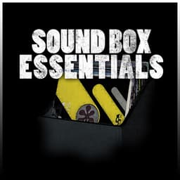 Sound Box Essentials Platinum Edition - Mykal Rose