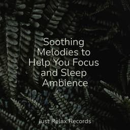 Soothing Melodies to Help You Focus and Sleep Ambience - Lullabyes