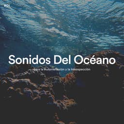 #01 Sonidos Del Océano para la Autorreflexión y la Introspección - Olas del Mar