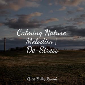 Calming Nature Melodies | De-Stress - Tailormade Ocean Waves
