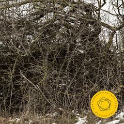 Rachmaninoff: Symphonic Dances - Sergei Rachmaninoff