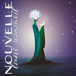 Nouvelle lune sommeil - Aide Au Sommeil Académie