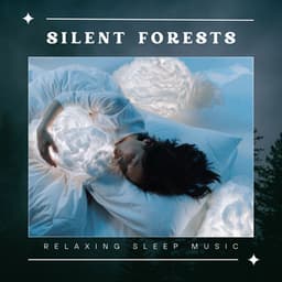 Silent Forests: Calm Sleep Music - Relaxing Sleep Music