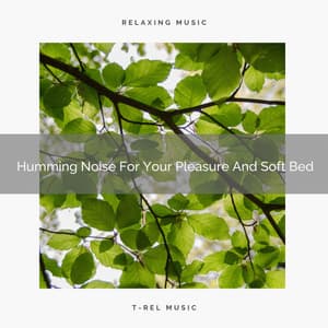 Humming Noise For Your Pleasure And Soft Bed - Baby Shusher And Lullaby