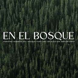 En El Bosque: Sonidos Serenos Del Bosque Para Una Relajación Instantánea - Sonidos naturales del bosque