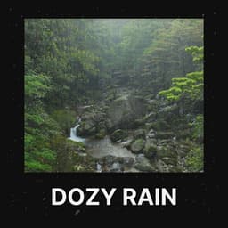 Dozy Rain - Meditation Rain Sounds