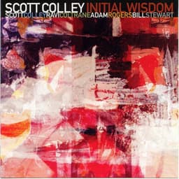 Initial Wisdom - Scott Colley