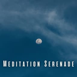 Meditation Serenade: Soothing Rain Sounds for Blissful Sleep - Meditation Playlist