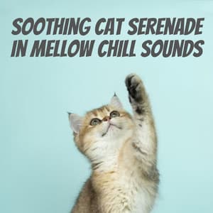 Soothing Cat Serenade in Mellow Chill Sounds - Instant Relax