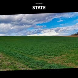 State - Caroline Haas