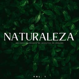 Naturaleza: Melodía Relajante De Insectos En Verano Vol. 1 - NatuREM
