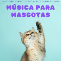 Música Para Mascotas: Los Mejores Sonidos De Océano Para Relajar Animales - Ruido Blanco Para Dormirse Fácilmente