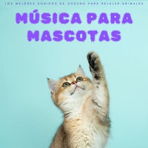Música Para Mascotas: Los Mejores Sonidos De Océano Para Relajar Animales - Ruido Blanco Para Dormirse Fácilmente