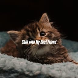 Chill with My Best Friend - Brazilian Jazz Lounge