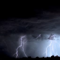 Morning Rain - Foley Music