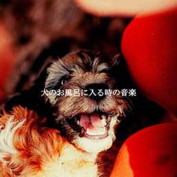 犬のお風呂に入る時の音楽 - Coffee House Jazz