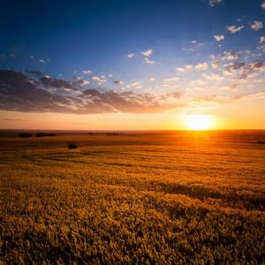 Evening Calm with Soothing Relaxing Music - Elevator Music