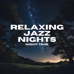 Night Time - The Late Night Vibe
