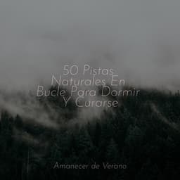 50 Pistas Naturales En Bucle Para Dormir Y Curarse - Relajacion Del Mar