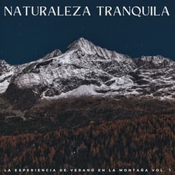 Naturaleza Tranquila: La Experiencia De Verano En La Montaña Vol. 1 - Naturaleza nativa americana