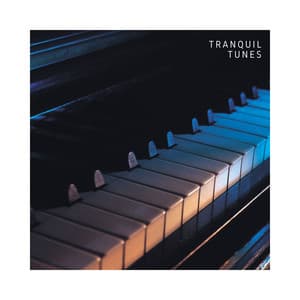 Tranquil Tunes: Chill Piano Sounds - Piano Meditation Music