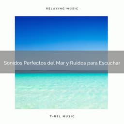Sonidos Perfectos del Mar y Ruidos para Escuchar - Ruido Blanco