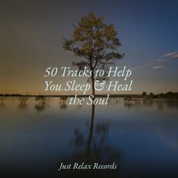 50 Tracks to Help You Sleep & Heal the Soul - Ambiente