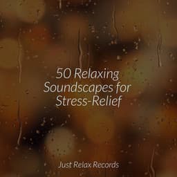 50 Relaxing Soundscapes for Stress-Relief - Forest Sounds