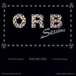 Orbsessions - The Orb