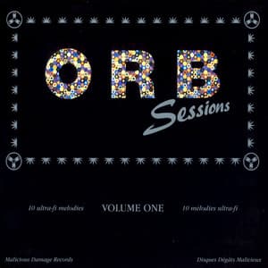 Orbsessions - The Orb