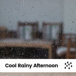 Cool Rainy Afternoon - The Rain Factory