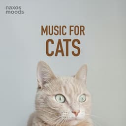 Music for Cats - Wolfgang Amadeus Mozart