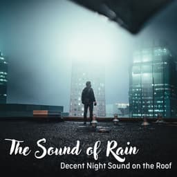 The Sound of Rain: Decent Night Sound on the Roof - Rain Hard