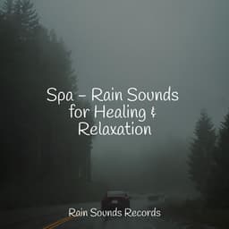 Spa - Rain Sounds for Healing & Relaxation - Weather Factory