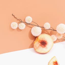 Music for Laid Back Overtones - Deluxe Jazz Quintet - Musica del lobby del Hotel