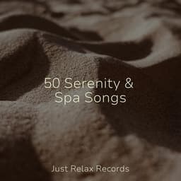 50 Serenity & Spa Songs - Música para Relajarse Profundamente