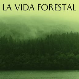 La Vida Forestal - Madre naturaleza