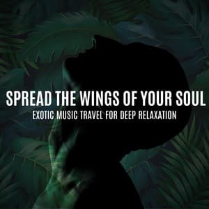 Spread the Wings of Your Soul: Exotic Music Travel for Deep Relaxation - Exotic New Age Master