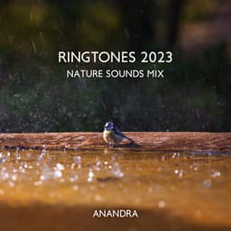 Ringtones 2023: Nature Sounds Mix, Birds, Waves, Rain, Calming Water - Anandra