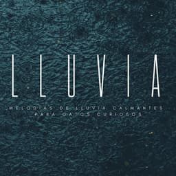 Relájate Felino: Melodías De Lluvia Calmantes Para Gatos Curiosos - Lluvia del Pacifico