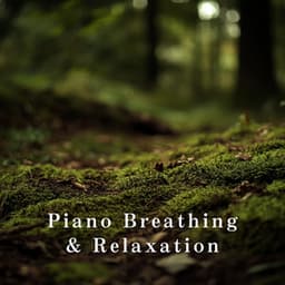 Piano Breathing & Relaxation - Relaxing BGM Project