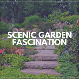 Scenic Garden Fascination - Swedish Forest Birds