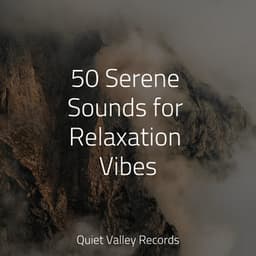 50 Serene Sounds for Relaxation Vibes - 125 Nature Sounds