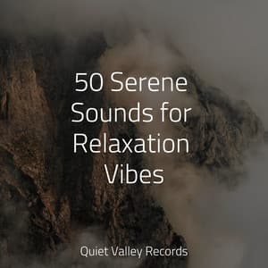 50 Serene Sounds for Relaxation Vibes - 125 Nature Sounds