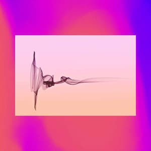 Organic Guitar Music - Ambiance for Welcoming Power - Light Jazz Playlist