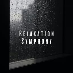 Relaxation Symphony: Melodic Rain ASMR - Rain Man Sounds