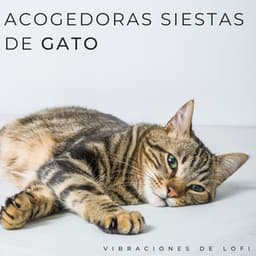 Acogedoras Siestas De Gato: Vibraciones De Lofi - Ritmo de hip-hop lofi
